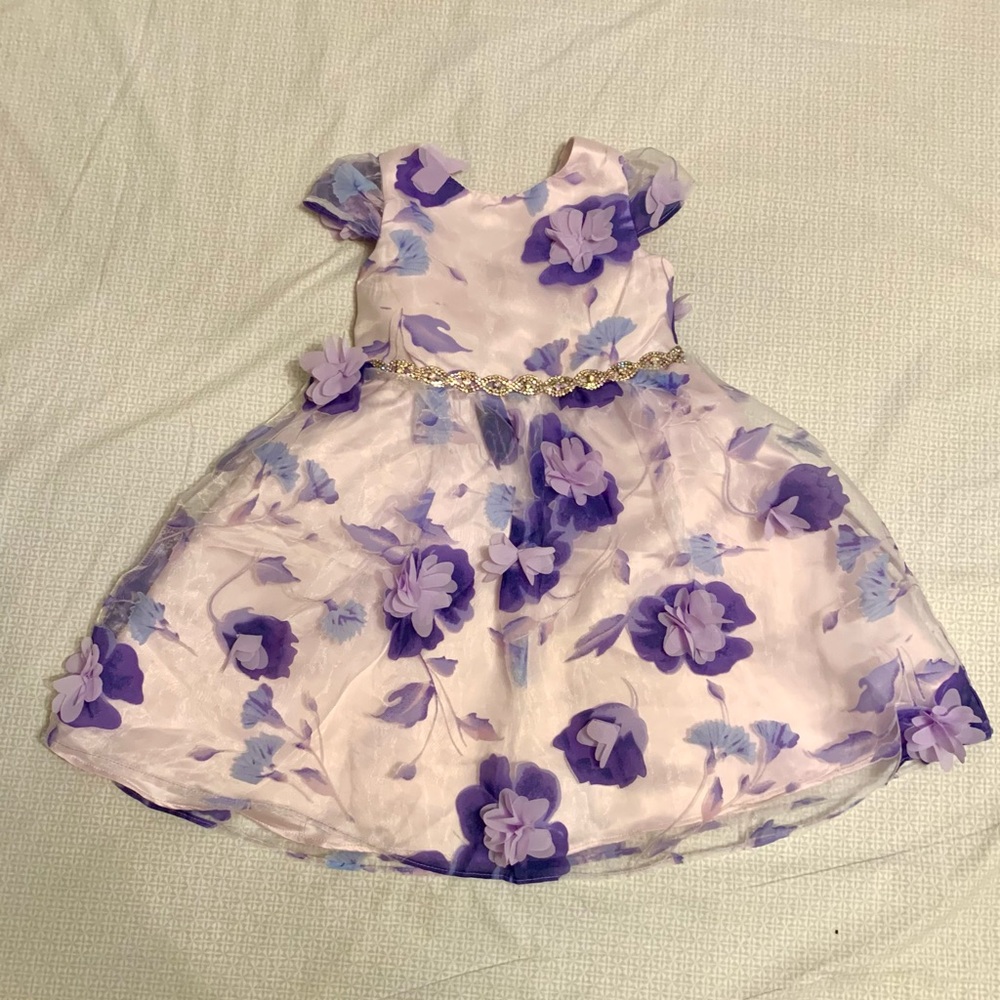 Rare edition special occasion dress. 3T